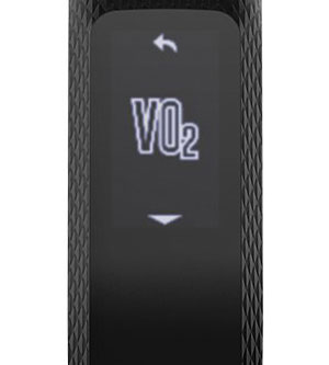 2_Daily Fitness Monitoring